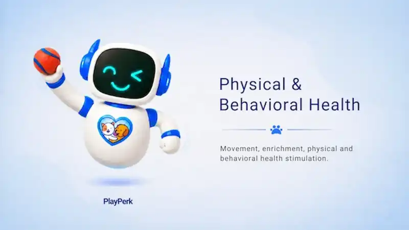 PERKY “P”: Physical and Behavioral Health, and How They Are Connected