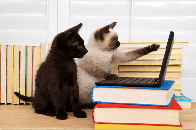 Top 10 Ways to Get Pet Health Advice Without Going to the Vet