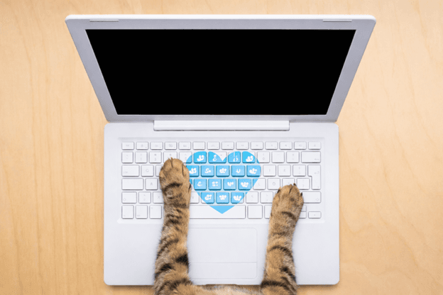 The Best Online Alternative to the Vet - PerkyPet AI