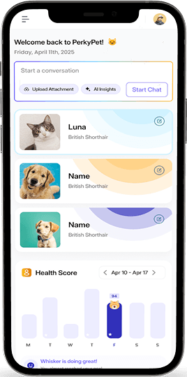 Phone mockup