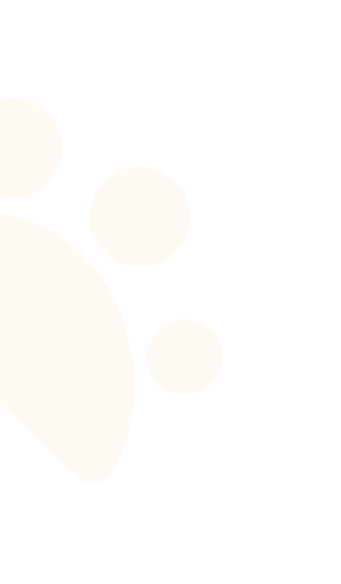 FAQ Left Down Background